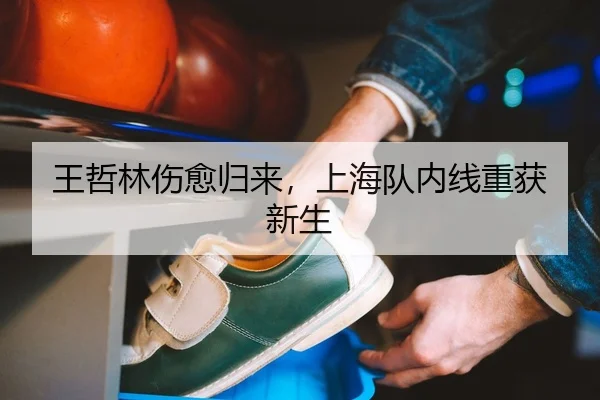 王哲林伤愈归来，上海队内线重获新生（leyu）